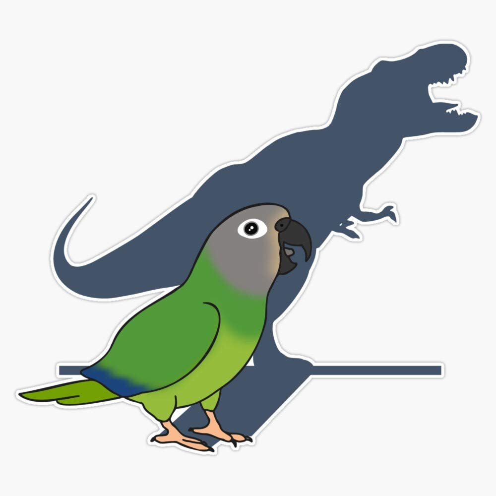 Dusky Headed Conure T-Rex Shadow Vinyl Bumper Sticker - Waterproof 5