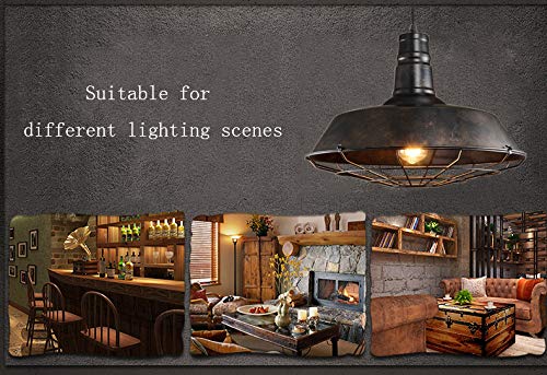 ANYE Round Loft Style Ceiling Light - 4.5M Copper Iron Cage Lampshade with 15ft UL Certified Dimmable Cord (Bulb Not Included) - Perfect for Industrial Decor, Dining Room, Bedroom, and Living Room Lighting