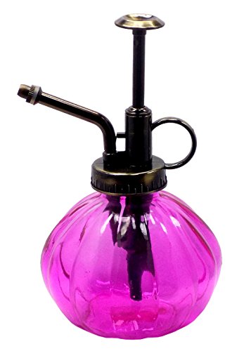 Fuschia