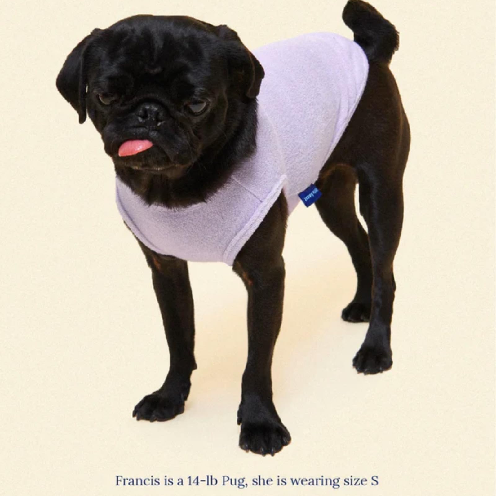 Little Beast Dog Clothes for Small/Medium/Large Dogs - Purple Shirt for Outdoor Walks