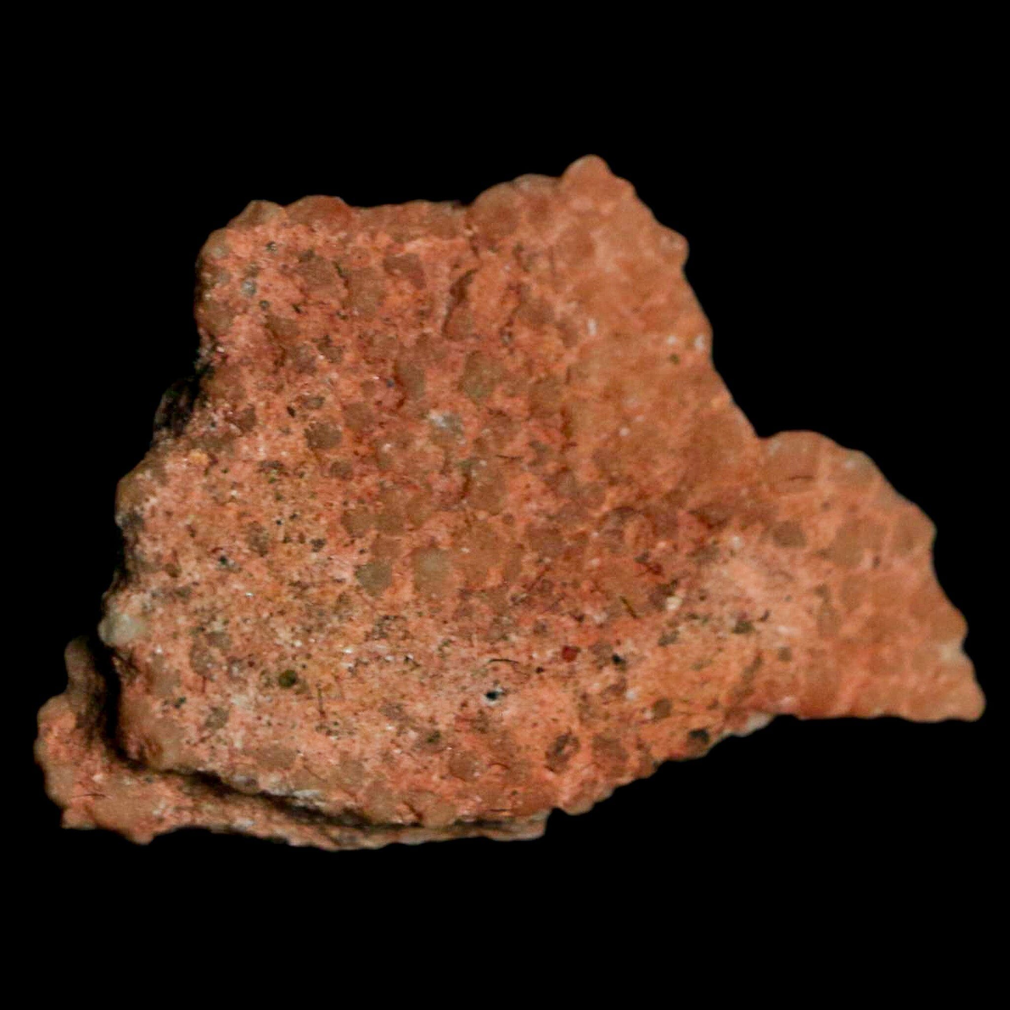 Authentic 0.7 Megaloolithus Titanosaur Dinosaur Fossil Egg Shell from Bouches-du-Rhône, France - Rare Collectible Display Piece for Paleontology Enthusiasts & Home Decor