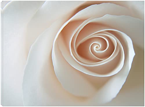 White Rose Swirl