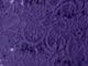 Midnight Violet