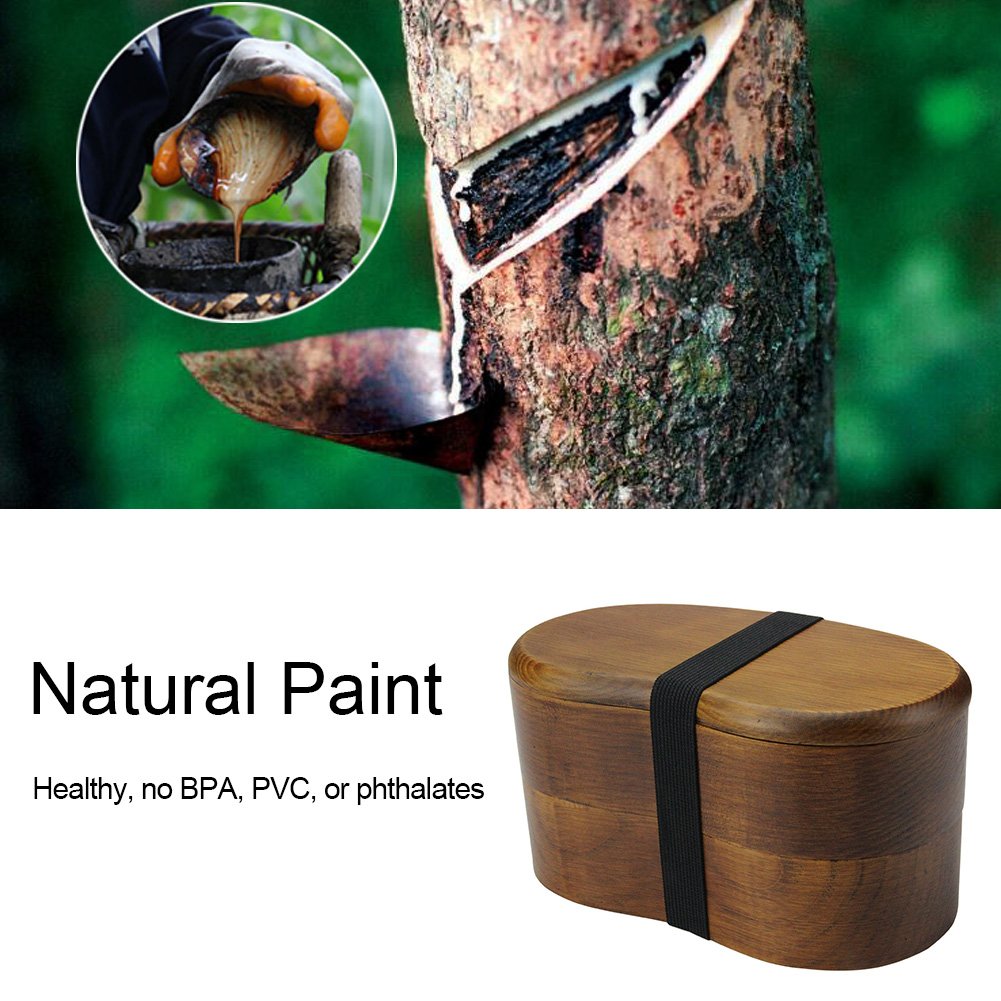 AOOSY Japanese Bento Box - Double Layer Natural Wooden Lunch Box for Adults | Eco-Friendly Food Container for Office, Picnic, Hiking & Camping | Perfect for Meal Prep & On-the-Go Dining