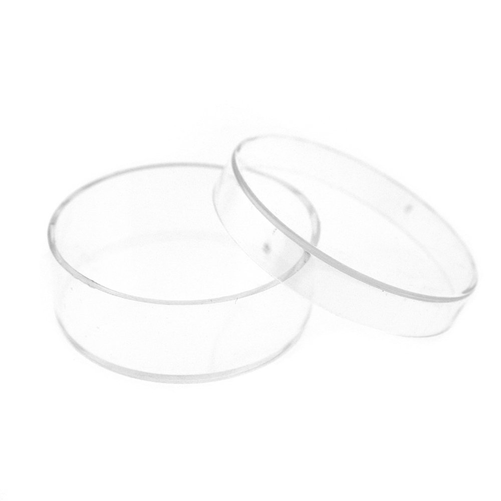 Paylak 42-Piece Clear Round Storage Box Divider Tray - Multi-Compartment Organizer for Jewelry, Beads, Crafts & Small Items - Perfect for Home, Office & Workshop Organization
