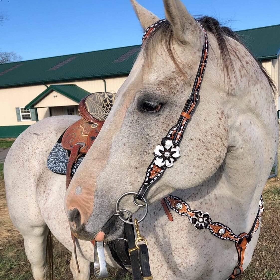 Buckstitch Flower Browband & One Ear Tack Set #BBBC420 - Perfect for Equestrian Shows, Horse Riding, and Western Events