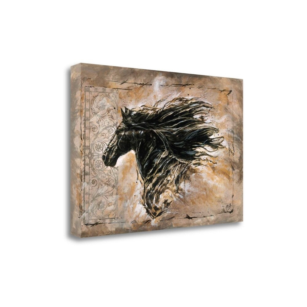 Black Beauty Fine Art Giclee Print by Marta G. Wiley - Gallery Wrapped Canvas Wall Art Ready to Hang - Perfect for Living Room, Bedroom & Office Decor