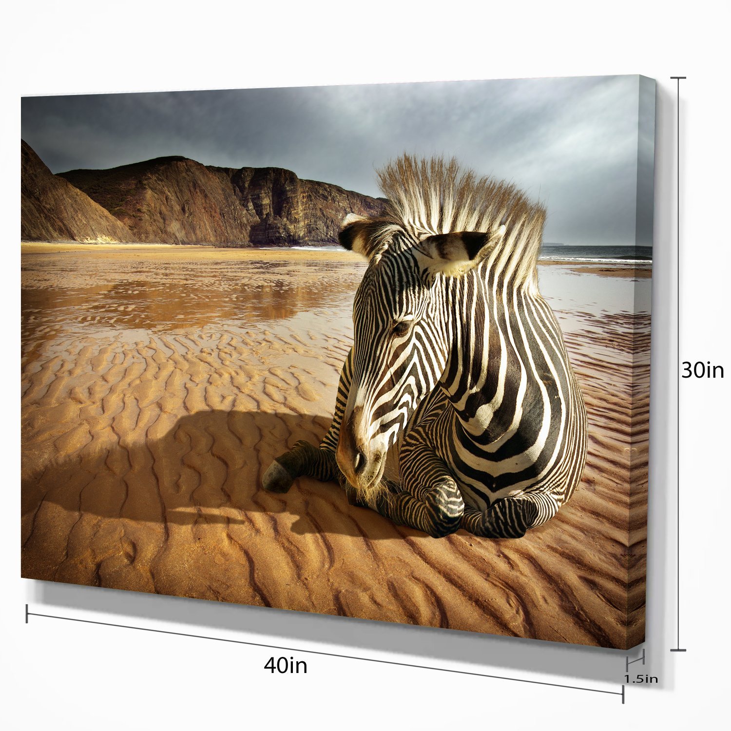 Zebra Wildlife Photography Art Print - Stunning Beach Animal Wall Decor for Living Room, Bedroom & Office