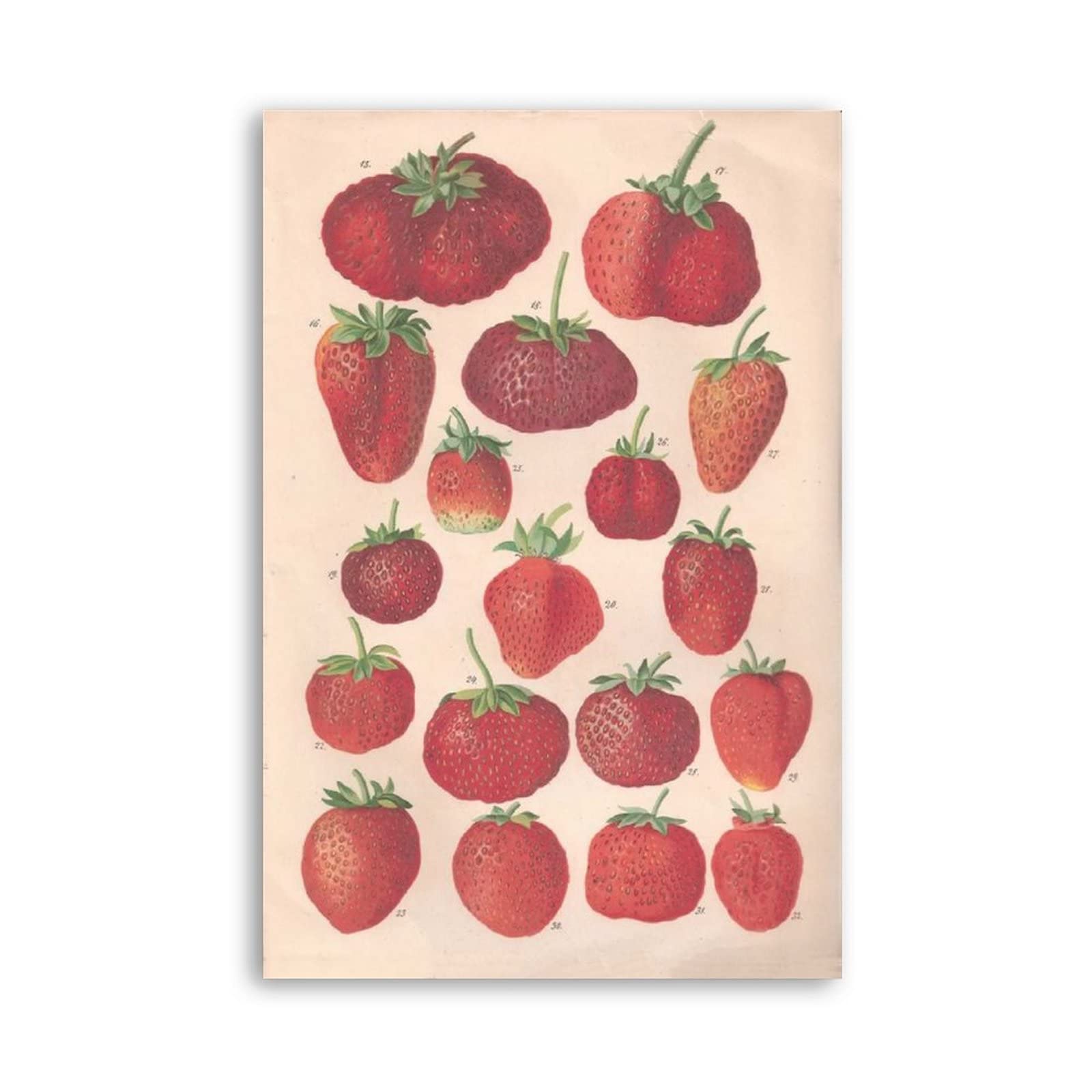Vintage Strawberry Wall Art - Aesthetic Strawberry Posters Set with Various Shapes, Fun & Red Canvas Prints for Home Decor (20x30cm/8x12in Unframed) - Perfect for Bedroom, Office, Nursery & Gift Giving