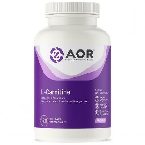 Premium ALCAR 500mg - 120 Vegan Capsules | L-Carnitine Supplement for Energy, Weight Loss & Muscle Recovery | Ideal for Athletes & Fitness Enthusiasts