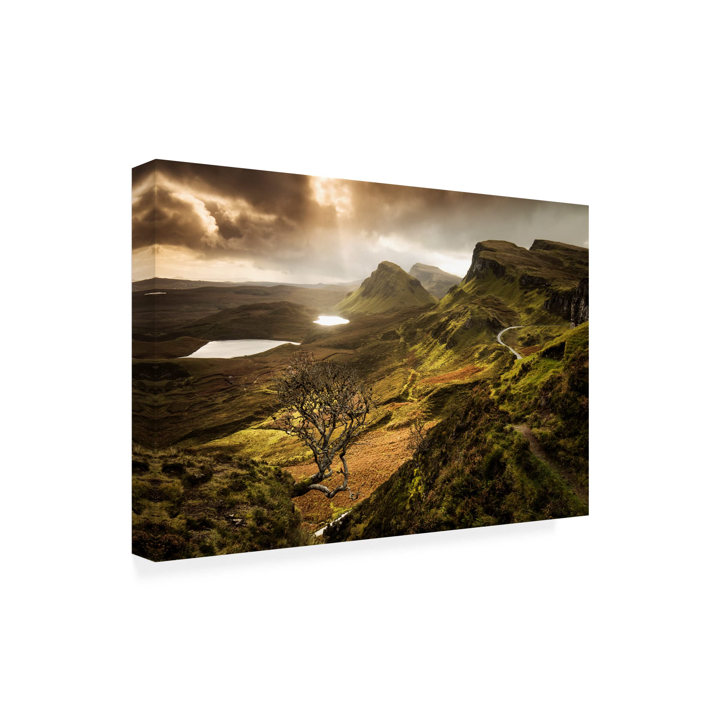 Dan Mirica 'The Tree' Canvas Wall Art Print - Modern Nature Landscape Painting for Living Room, Bedroom & Office Decor
