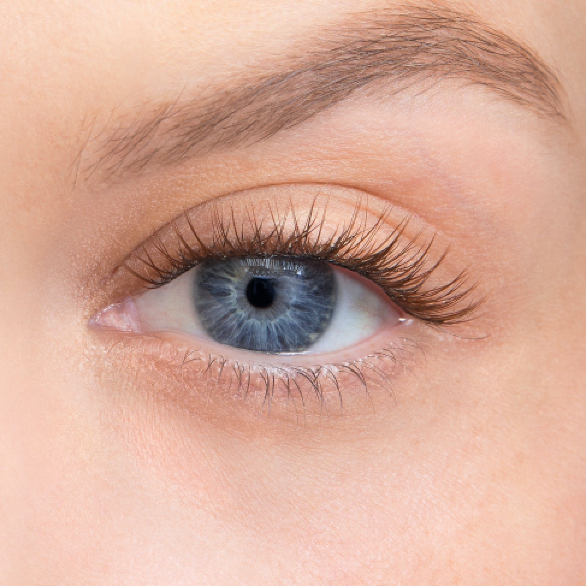 Amplify Core Gossamer® Lash - Volumizing Mascara for Long & Thick Lashes | Perfect for Daily Wear & Special Occasions