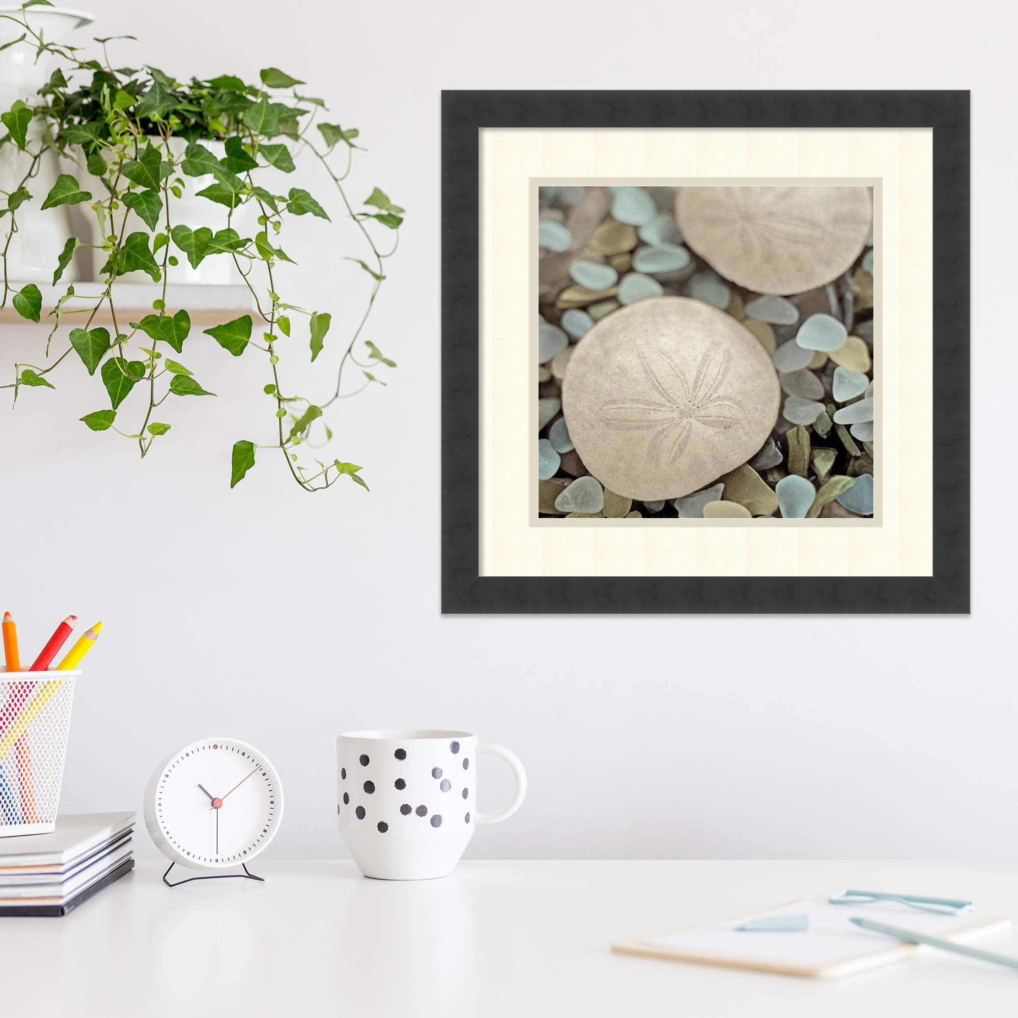 Framed Wall Art Print - Aquatic 2 by Alan Blaustein | Modern Contemporary Home Decor | Ocean Themed Living Room & Bedroom Wall Art