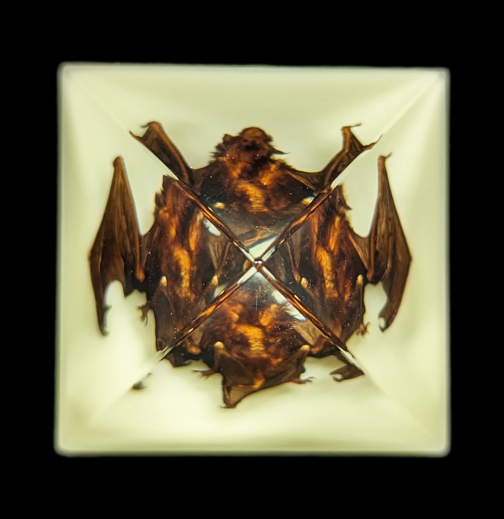 Glow in the Dark Bat Pyramid - Halloween Decorations, Spooky Party Supplies, Unique Night Light for Kids Room & Outdoor Garden Decor - Perfect for Halloween Parties, Bedroom Nightlight, and Themed Events