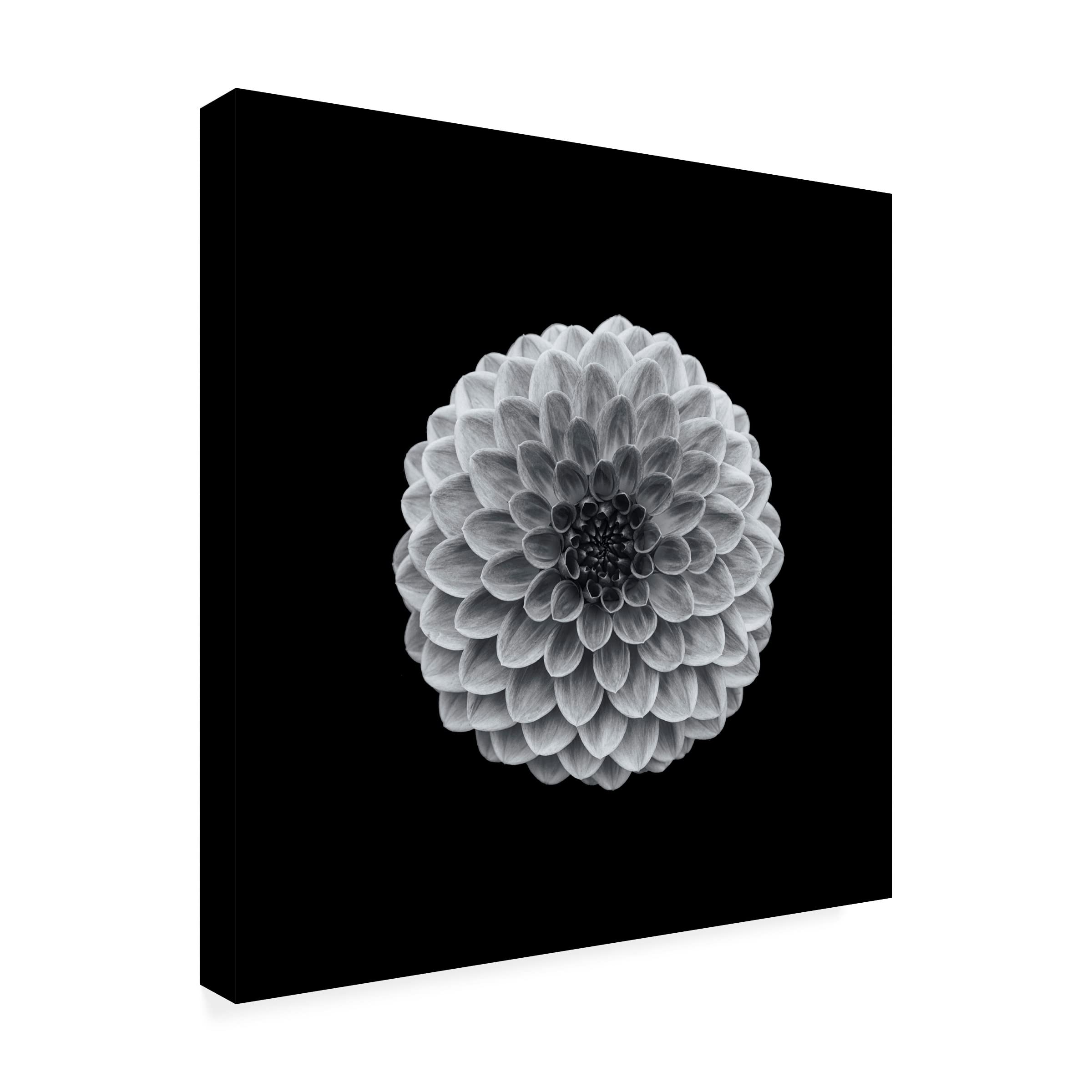 Trademark Fine Art 'Hillcrest Suffusion' Canvas Wall Art by Lotte Gronkjar - Modern Abstract Painting for Living Room, Bedroom & Office Decor