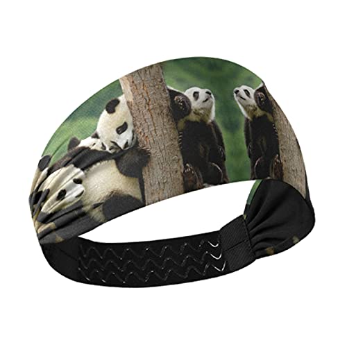 Stretchy Breathable Women's Headbands for Yoga, Workout & Sports - Sweat Wicking Hair Bands & Head Wraps with Panda Climbing Tree Design - Perfect for Running, Gym, Tennis & Outdoor Activities