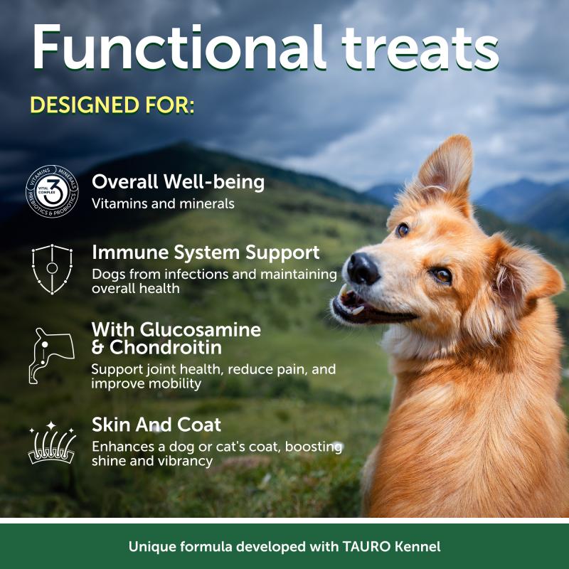 Premium Lamb Flavored Adult Dog Treats for Energy & Endurance - High Protein Training Snacks for Active Dogs | Perfect for Hiking, Running & Outdoor Adventures