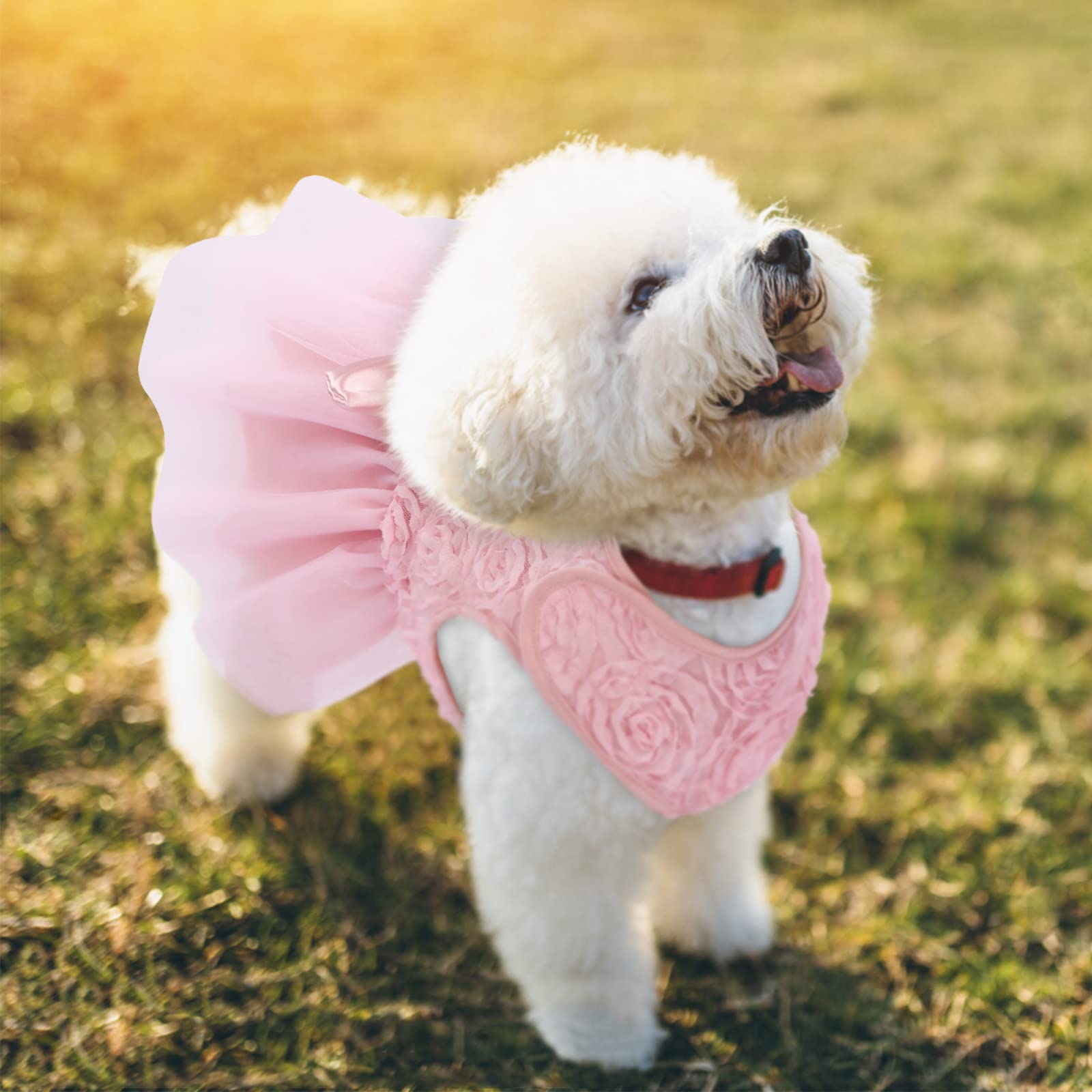 ASENKU Dog Dress - Pet Wedding Dress with Lace for Puppy Birthday Party, Formal Princess Outfit for Small & Medium Dogs & Cats (XX-Small, Pink) | Perfect for Weddings, Birthday Celebrations & Special Occasions