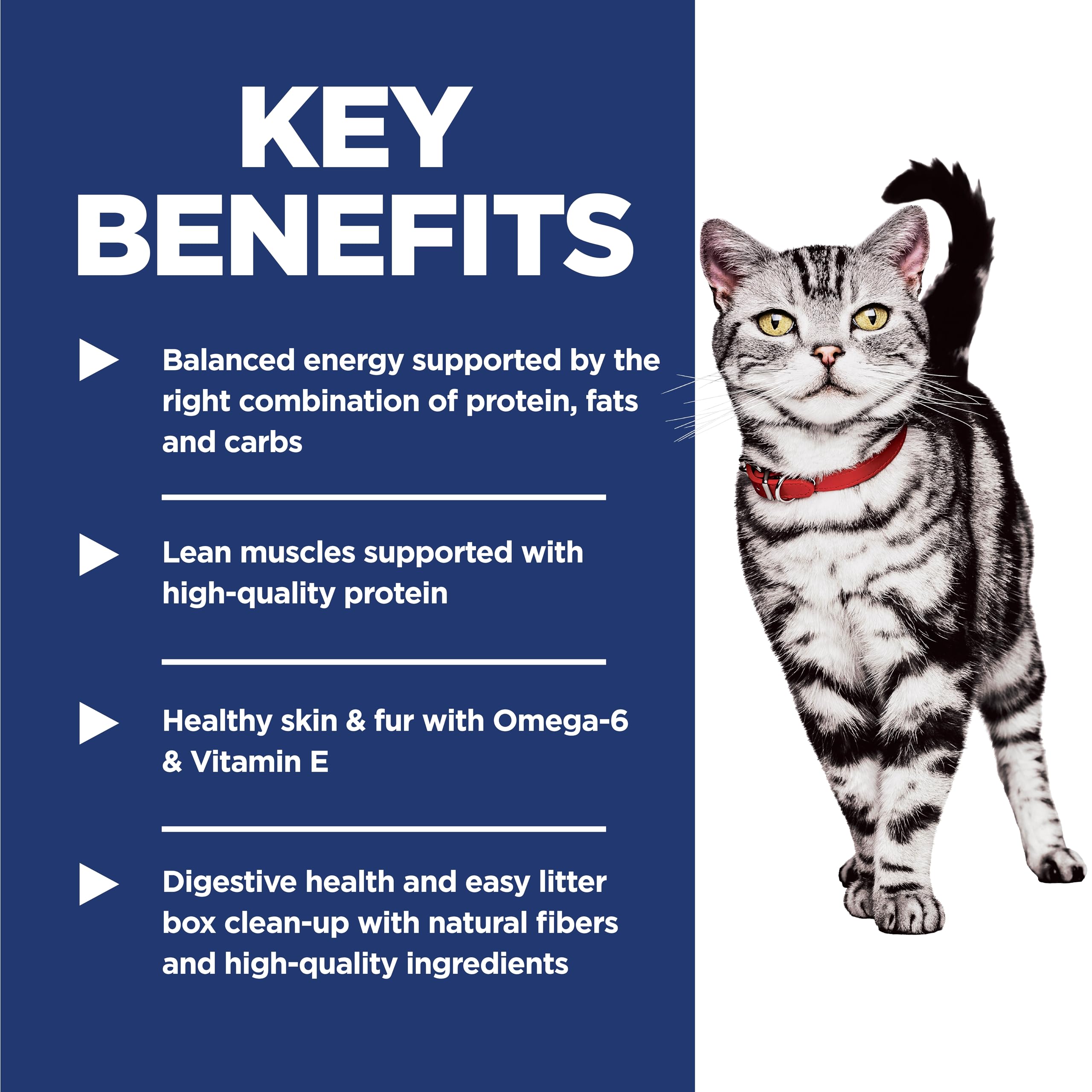 Hill's Science Diet Indoor Adult Dry Cat Food - Chicken Recipe for Cats 1-6 Years, 15.5lb Bag - Promotes Easy Litter Box Cleanup & Healthy Digestion | Perfect for Indoor Cats with Sensitive Stomachs
