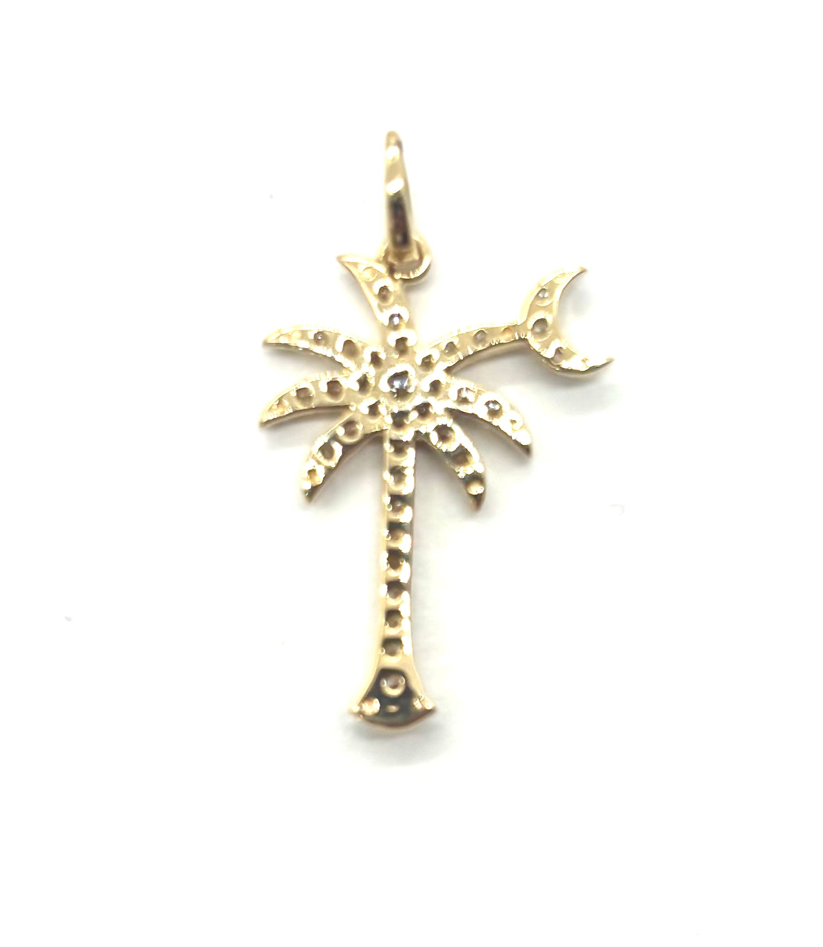South Carolina Palmetto Moon Diamond Pendant Necklace - Elegant Jewelry for Women, Perfect for Gifts, Anniversaries & Special Occasions
