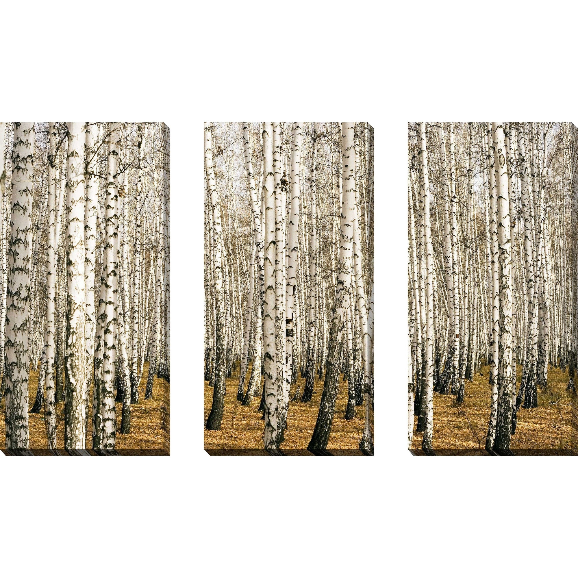 Birch Trees 3-Piece Canvas Wall Art Set - Nature Inspired Landscape Paintings for Living Room, Bedroom & Office Decor
