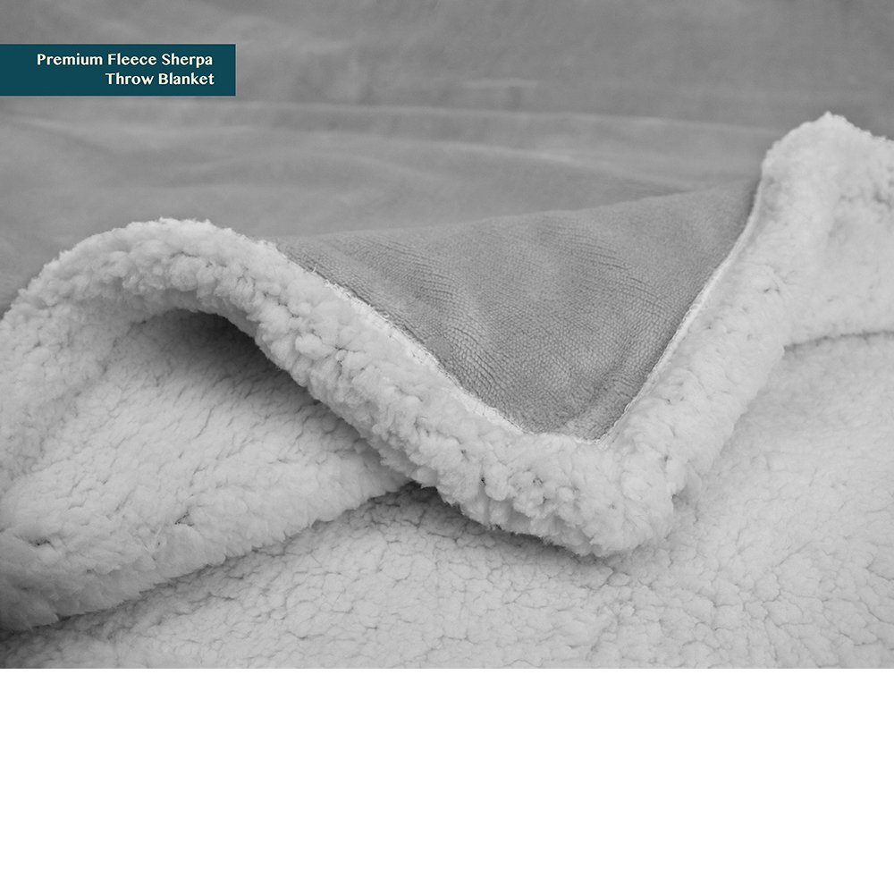 PAVILIA Queen Size Sherpa Fleece Blanket - Ultra Soft Plush Reversible Winter Blanket for Bed (90x90 Inches, Light Grey) - Cozy Warm Throw for Women & Men - Perfect for Couch, Sofa, Bedroom & Gift Giving