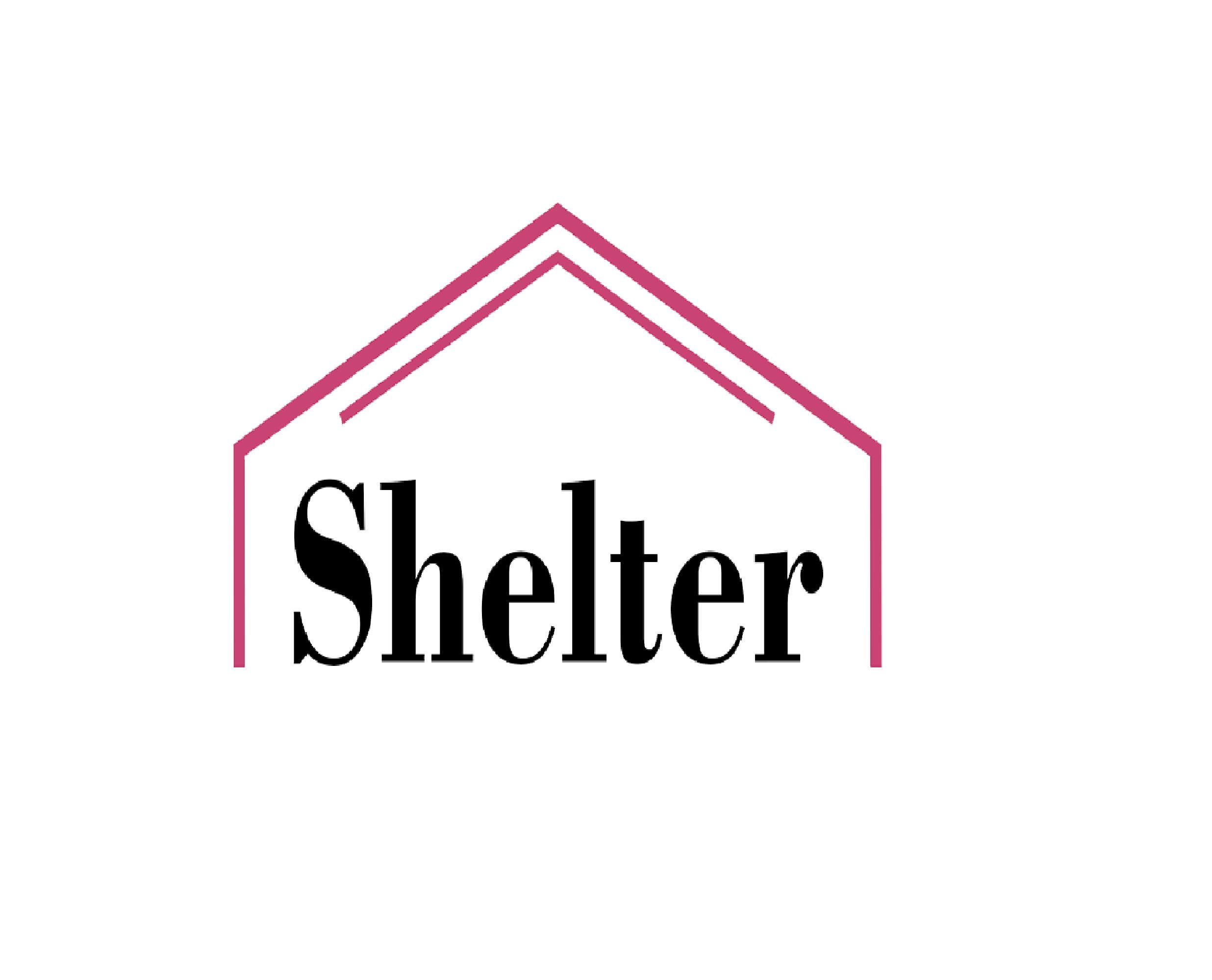 SHELTER Foundation Concealer Beauty Blender Brush with Handle - 17cm Soft Makeup Sponge for Flawless Coverage (Baby Pink) | Perfect for Liquid, Cream & Powder Application | Great for Contouring, Blending & Touch-Ups