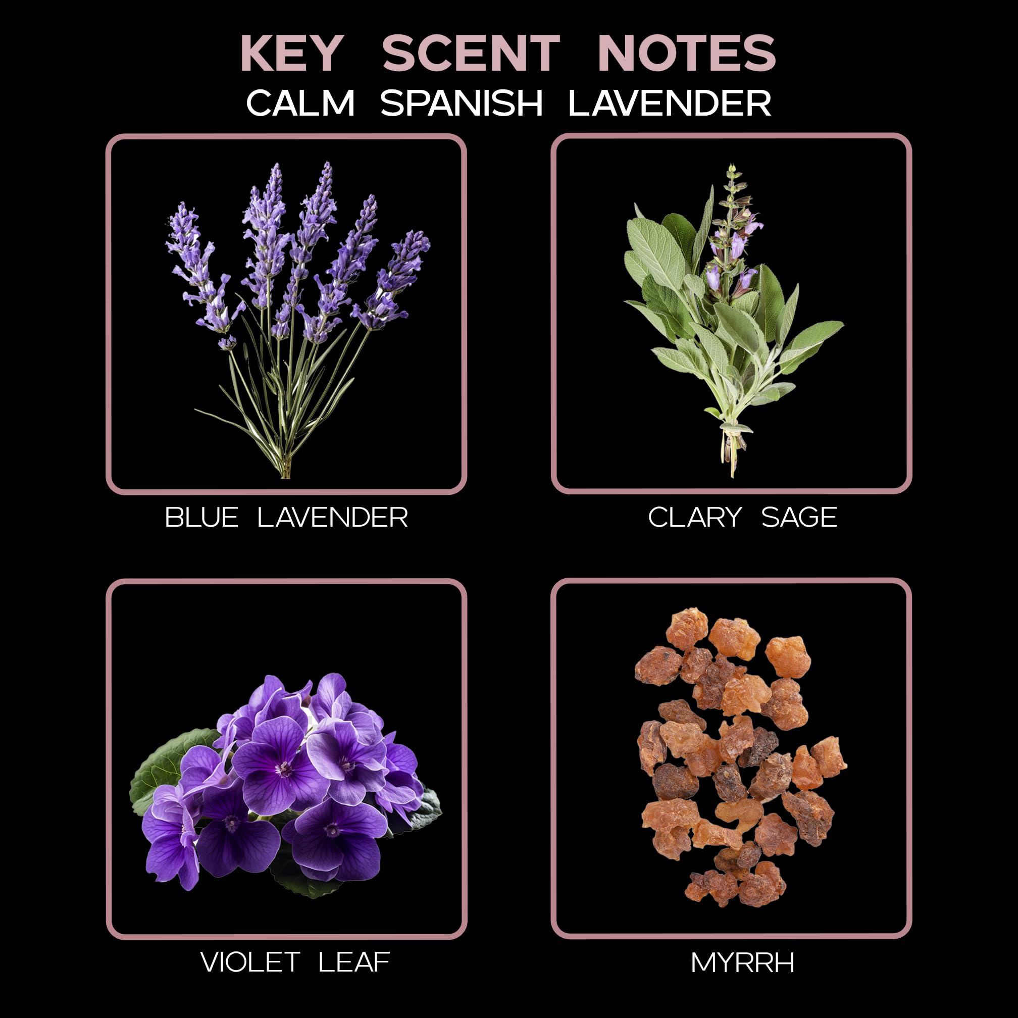 LOVSPA Calm Spanish Blue Lavender Reed Diffuser Set with Essential Oils - Relaxing Aromatherapy Gift for Home, Office & Spa - Lavender, Clary Sage & Violet Leaf Scent for Stress Relief & Better Sleep