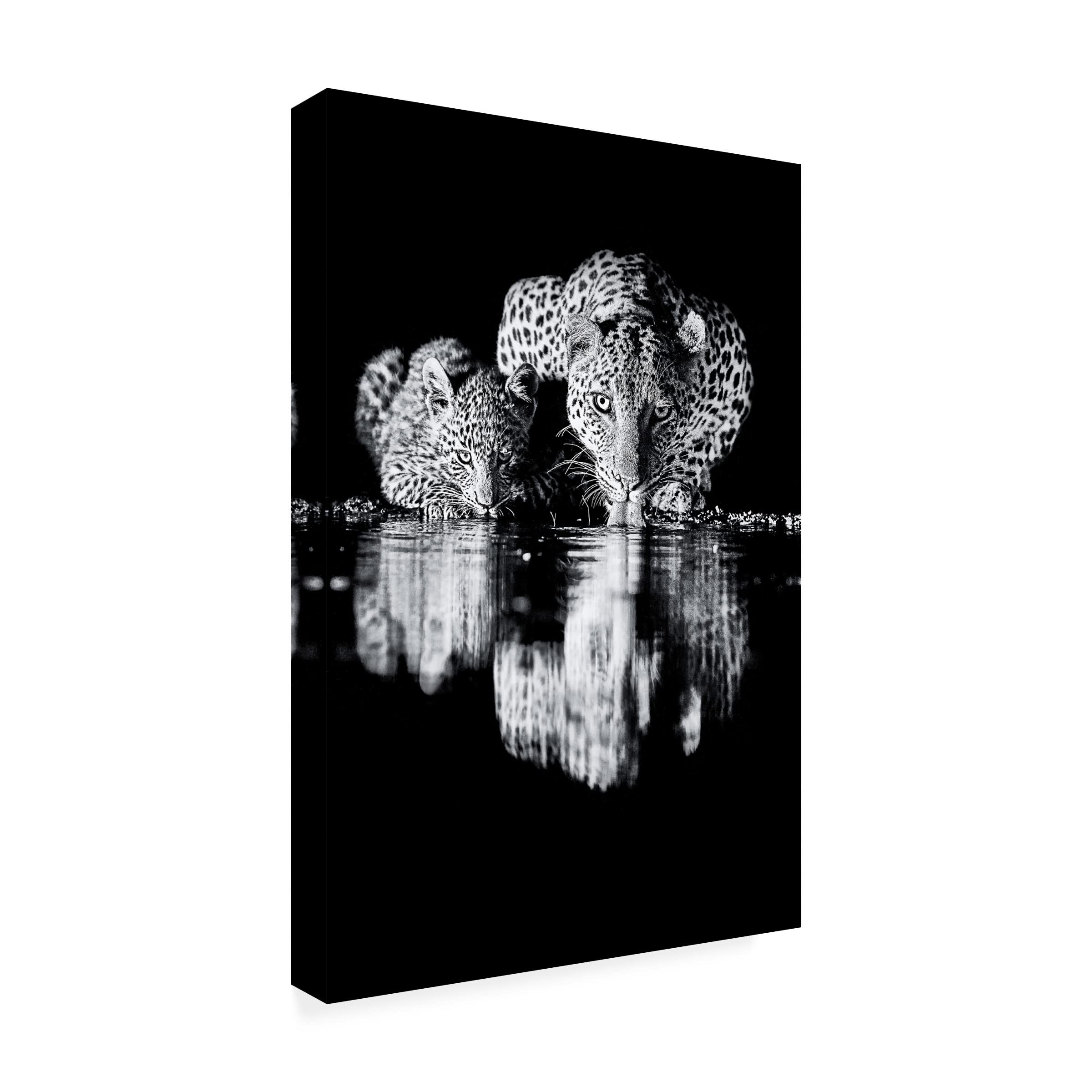 Trademark Fine Art 'Leopard' Canvas Wall Art by Amnon Eichelberg - Wildlife Home Decor for Living Room, Bedroom & Office