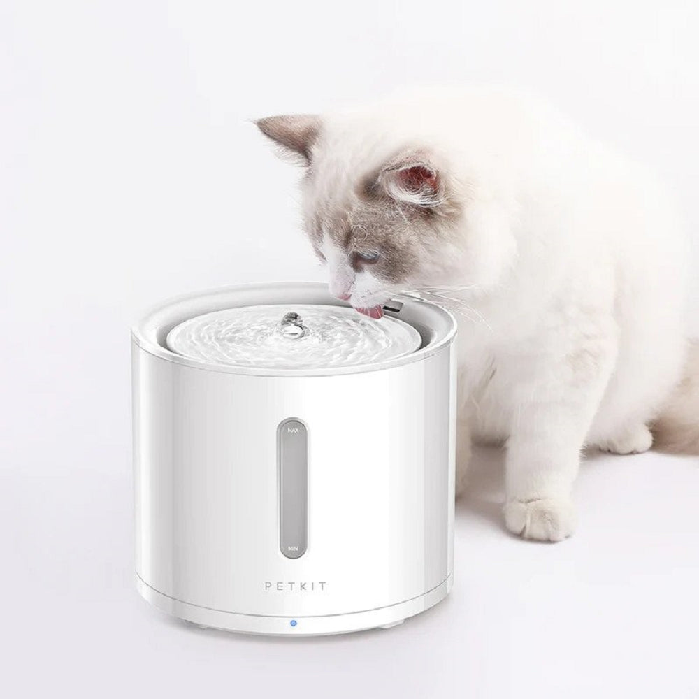 Eversweet Solo 2 Smart Pet Water Fountain with Wireless Pump - Automatic Cat & Dog Water Dispenser for Home, Office, or Travel Use