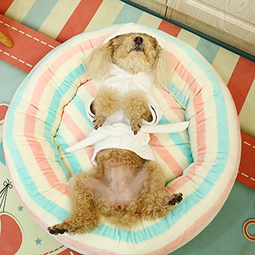 Premium Dog Bathrobe - Quick Drying White Pet Bath Towel & Warm Winter Coat for Small Dogs & Cats | Soft Puppy Clothing for Post-Bath, Grooming & Indoor Comfort (Size M)