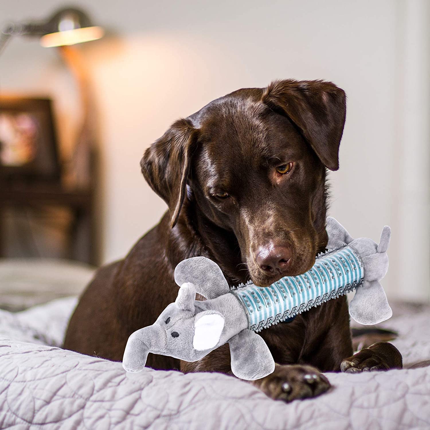 **3 Pack Plush Squeaky Dog Chew Toys – Indestructible & Durable Dental Chew Toys for Small & Medium Dogs – Natural Material Puppy Toothbrush Toys (Gray) – Perfect for Teething, Playtime & Dental Care**