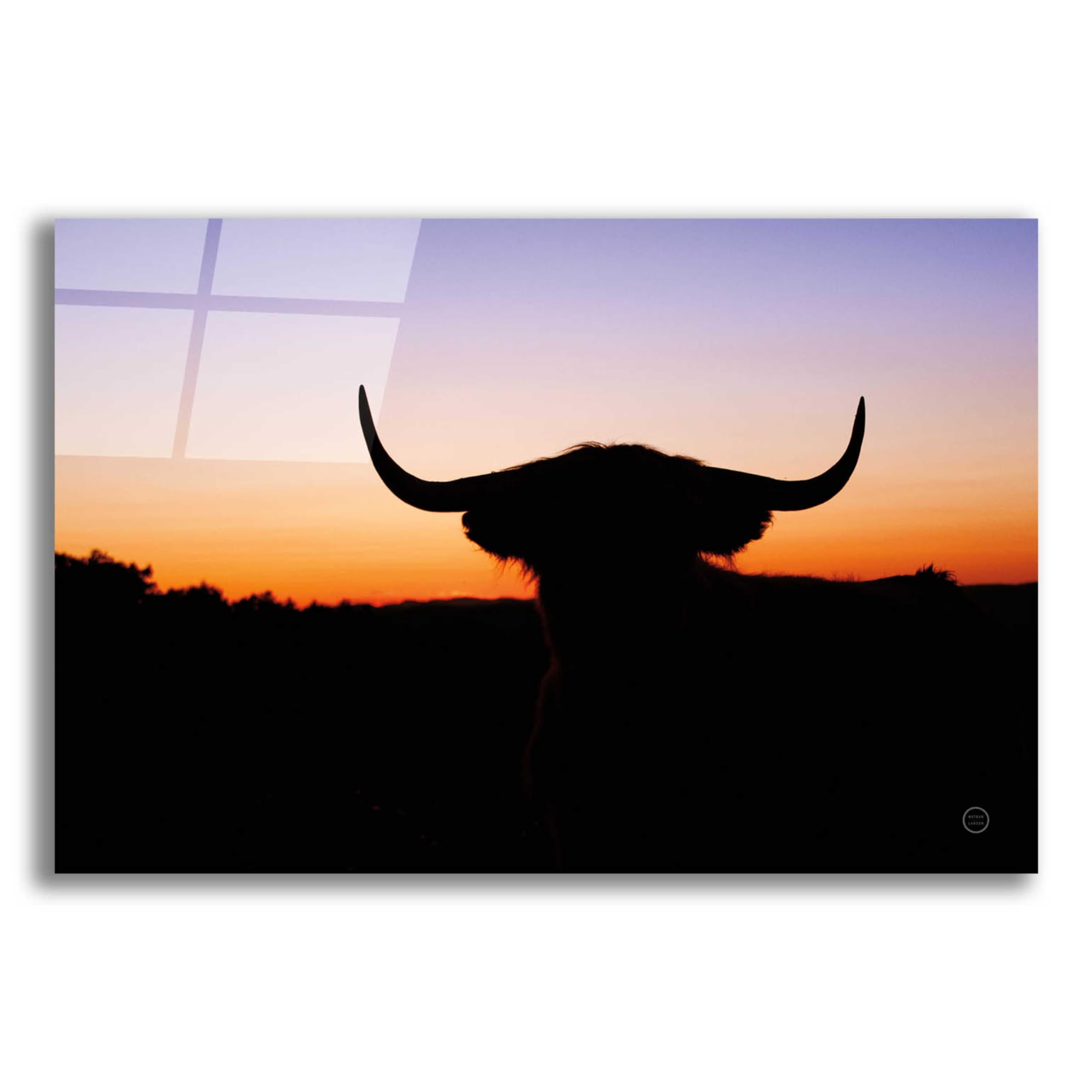 Epic Art 'Bull Set' by Nathan Larson - Premium Acrylic Glass Wall Art, 24x16 Inches - Modern Home & Office Decor for Living Room, Bedroom, or Workspace