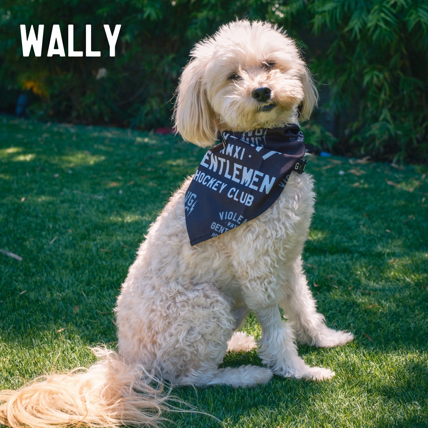 Premium Dog Bandana - Customizable Pet Bandana for Dogs & Cats - Perfect for Pet Grooming, Photos & Special Occasions