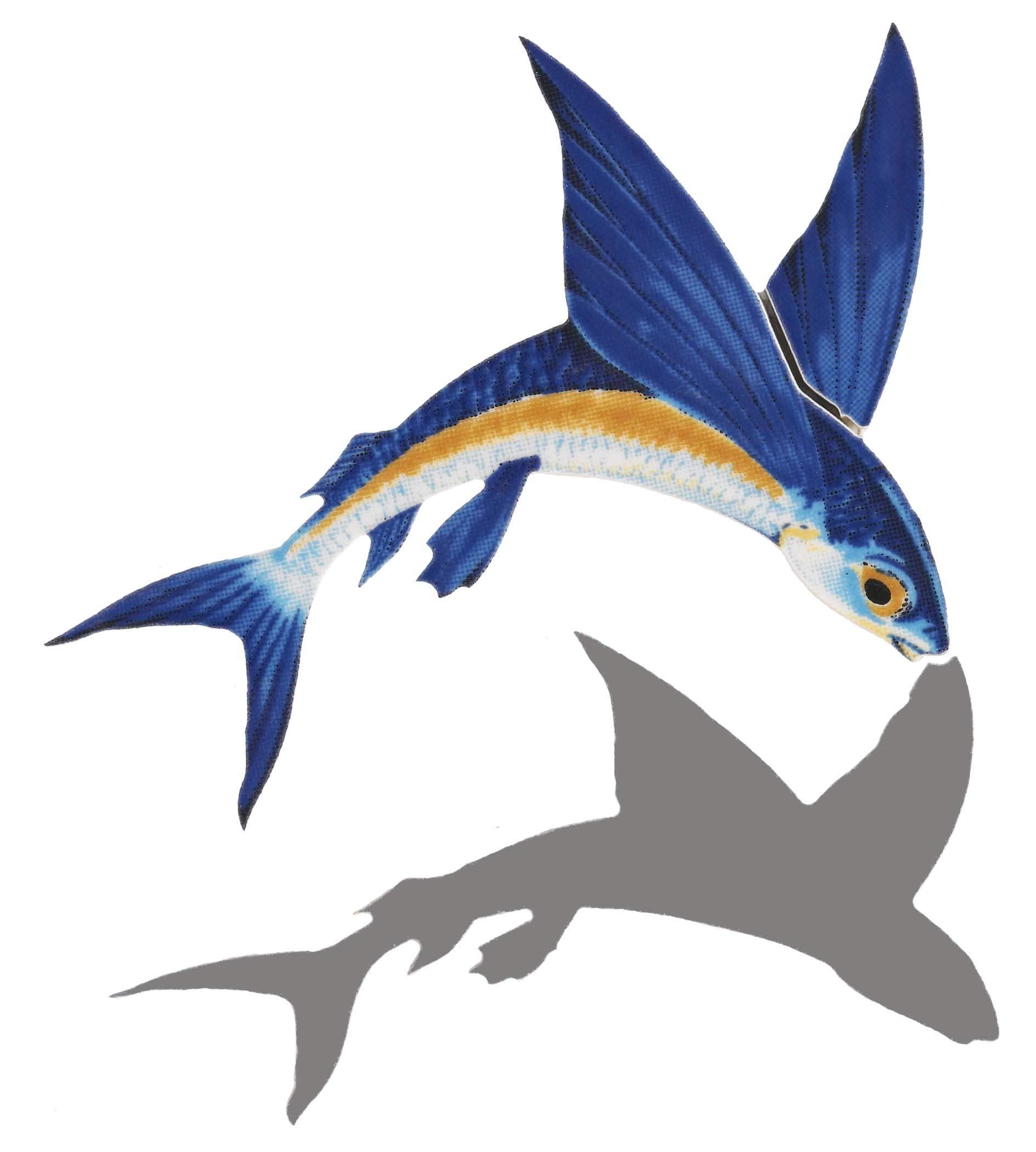 Flying Fish Porcelain Swimming Pool Mosaic Tile - 7x6 Inch Reverse Design - Perfect for Pool Renovation, Backsplash & Bathroom Decor