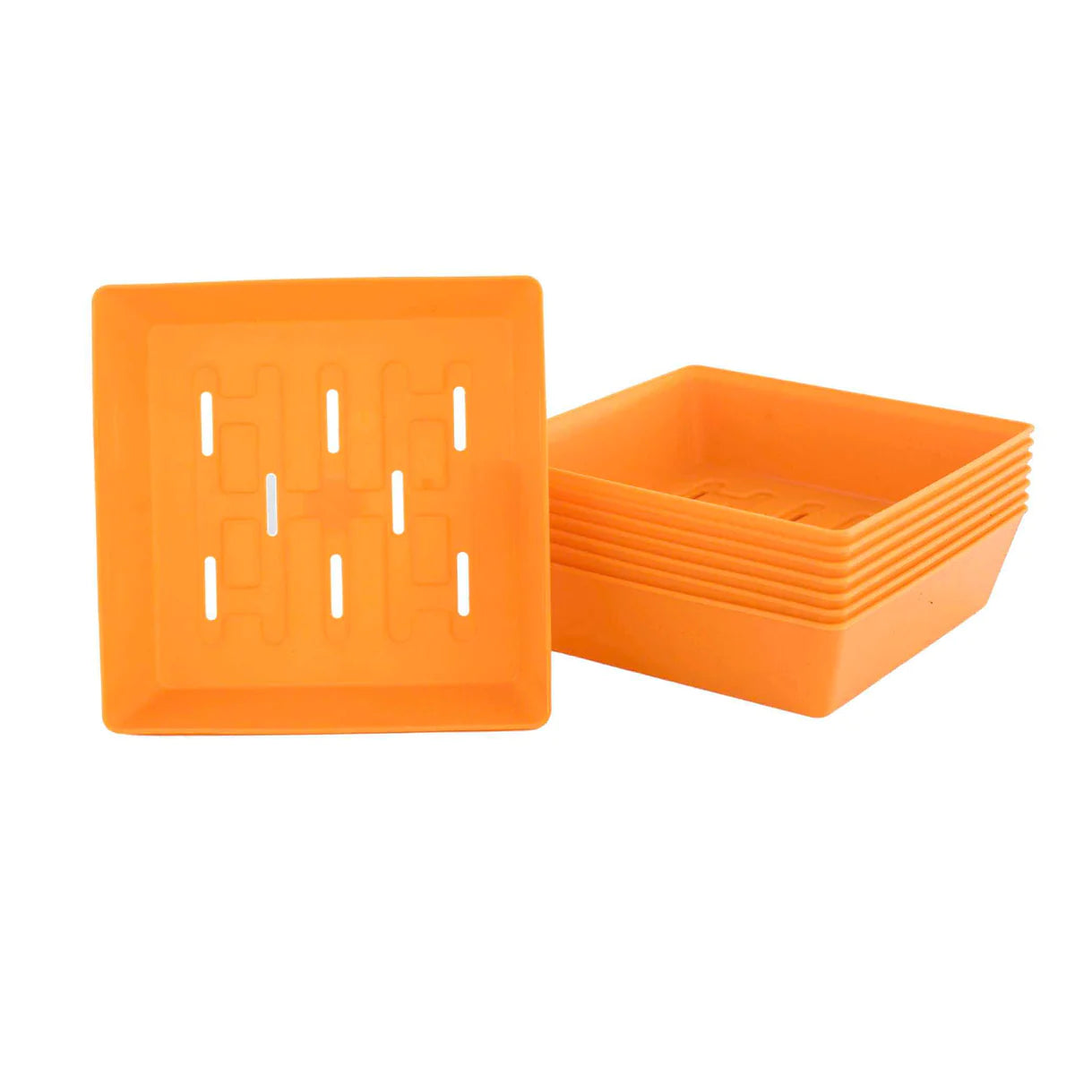 Bootstrap Farmer 5x5 Shallow Microgreen Trays - Durable Seed Starter Trays for Indoor Gardening, Hydroponics & Organic Farming - Perfect for Home Growers & Commercial Use