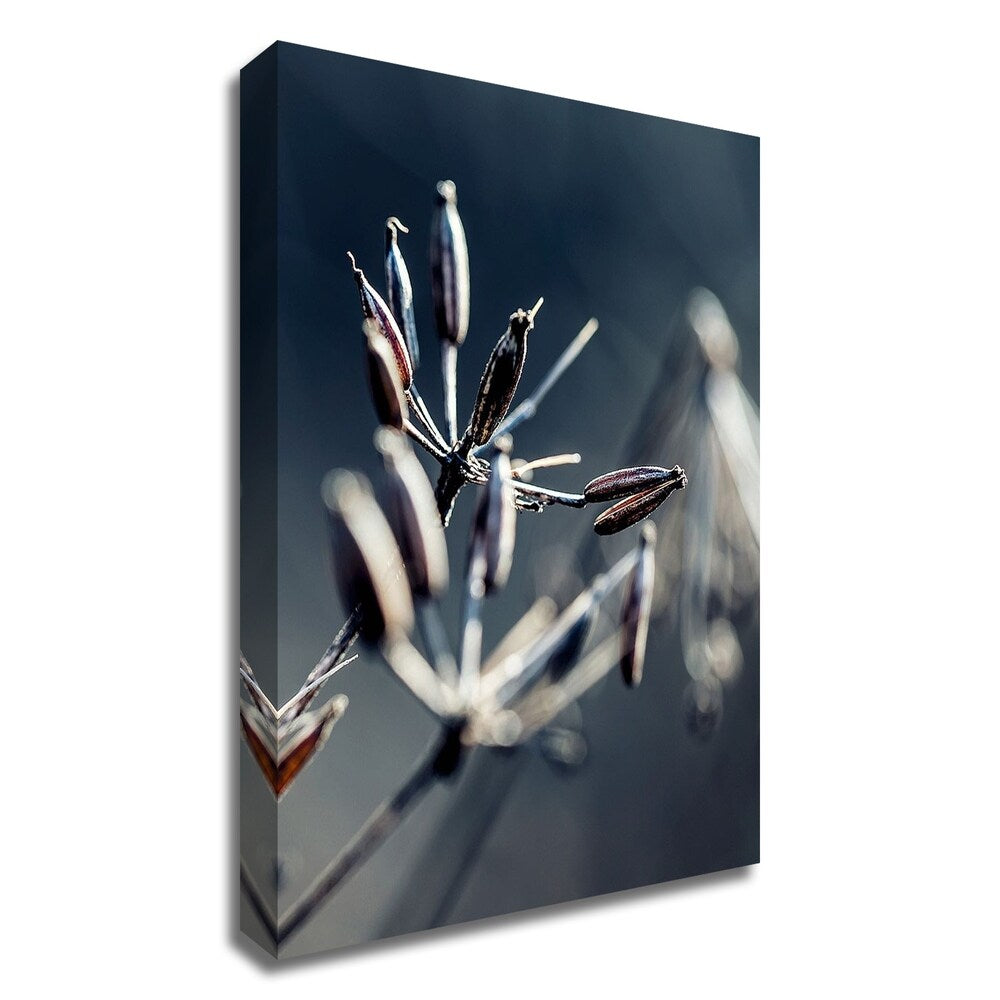 Autumn IV by Incado - Premium Canvas Wall Art Print, Ready to Hang - Perfect for Living Room, Bedroom & Office Decor