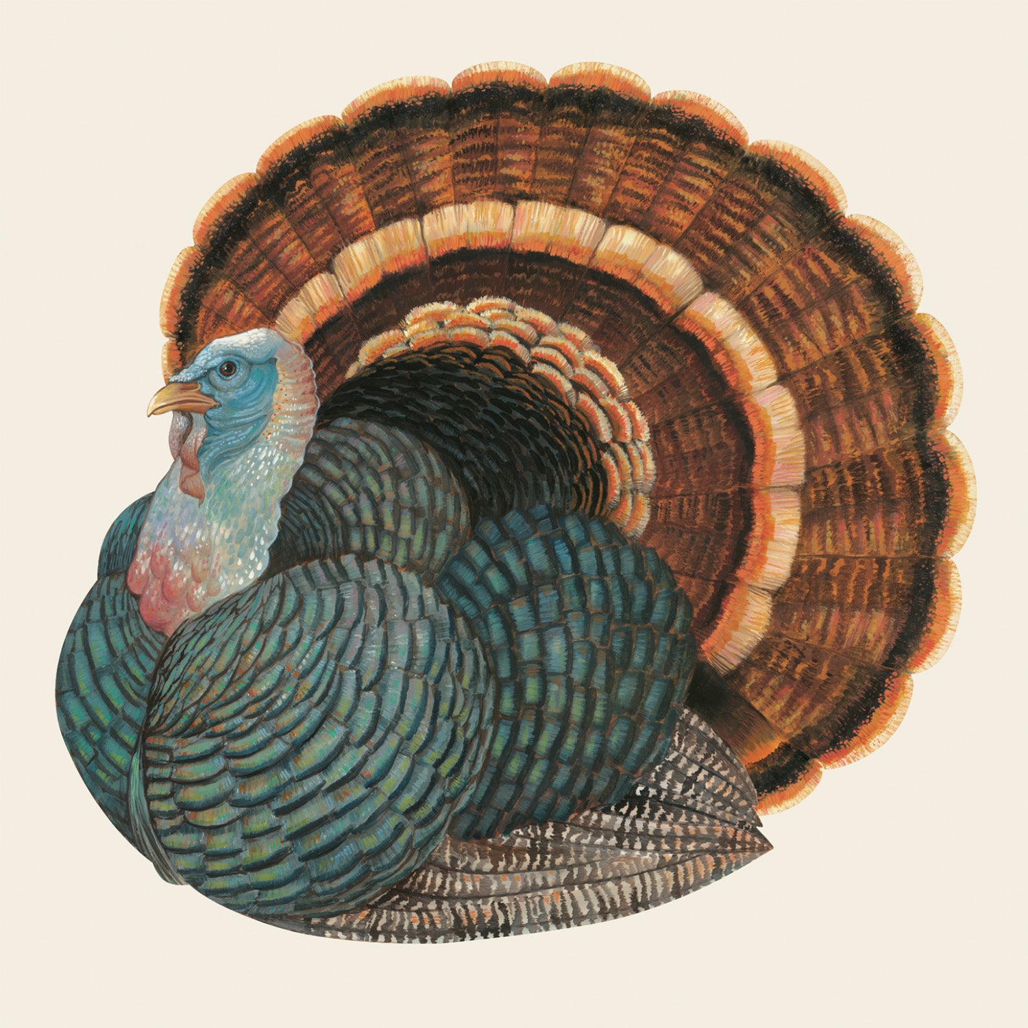 Premium Heritage Turkey Cocktail Napkins - Elegant Thanksgiving & Holiday Party Decor - Perfect for Dinner Parties, Cocktail Hours & Festive Gatherings