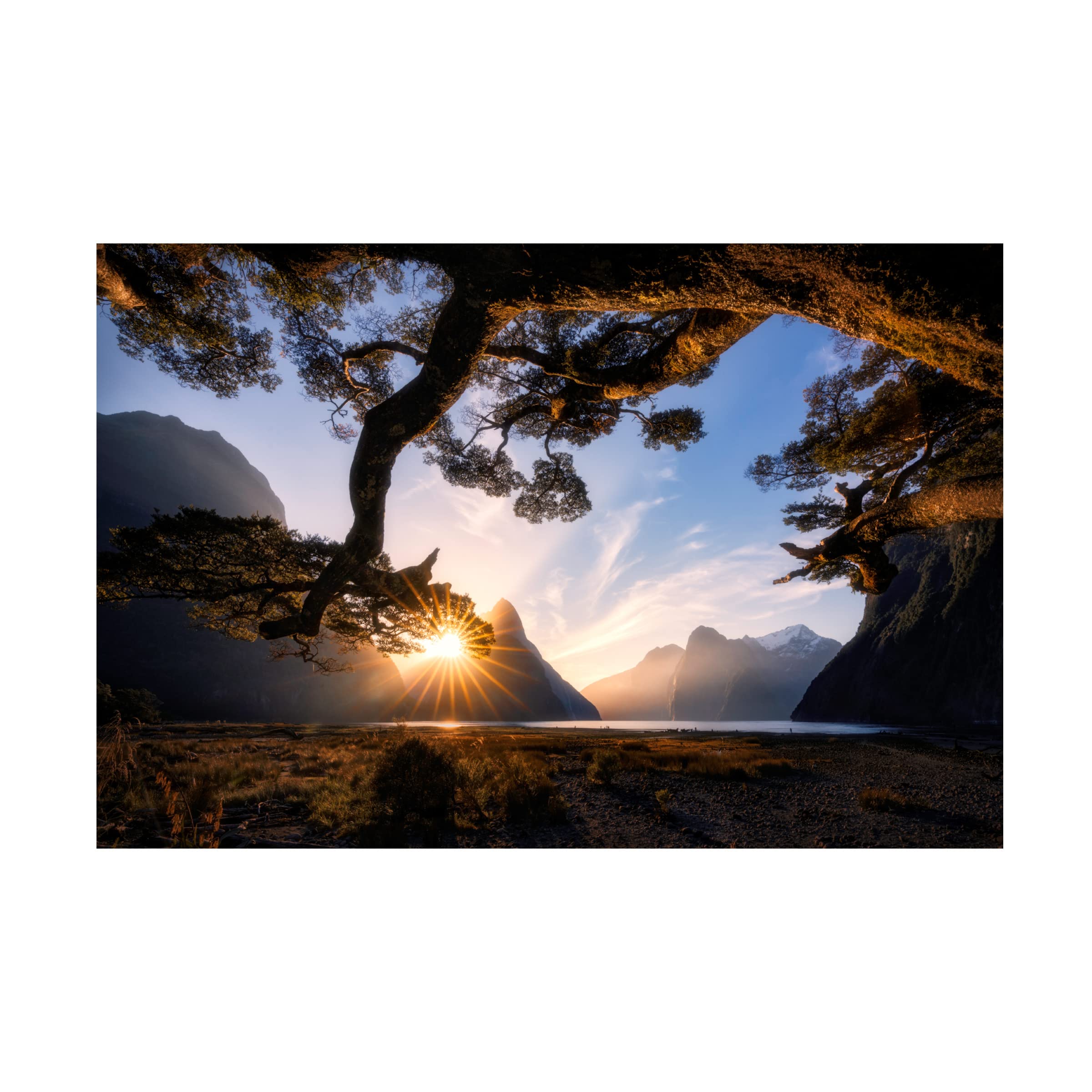 Trademark Fine Art 'Sunny Day In Milford Sound' Canvas Wall Art Print by Jingshu Zhu - Landscape Painting for Living Room, Bedroom & Office Decor