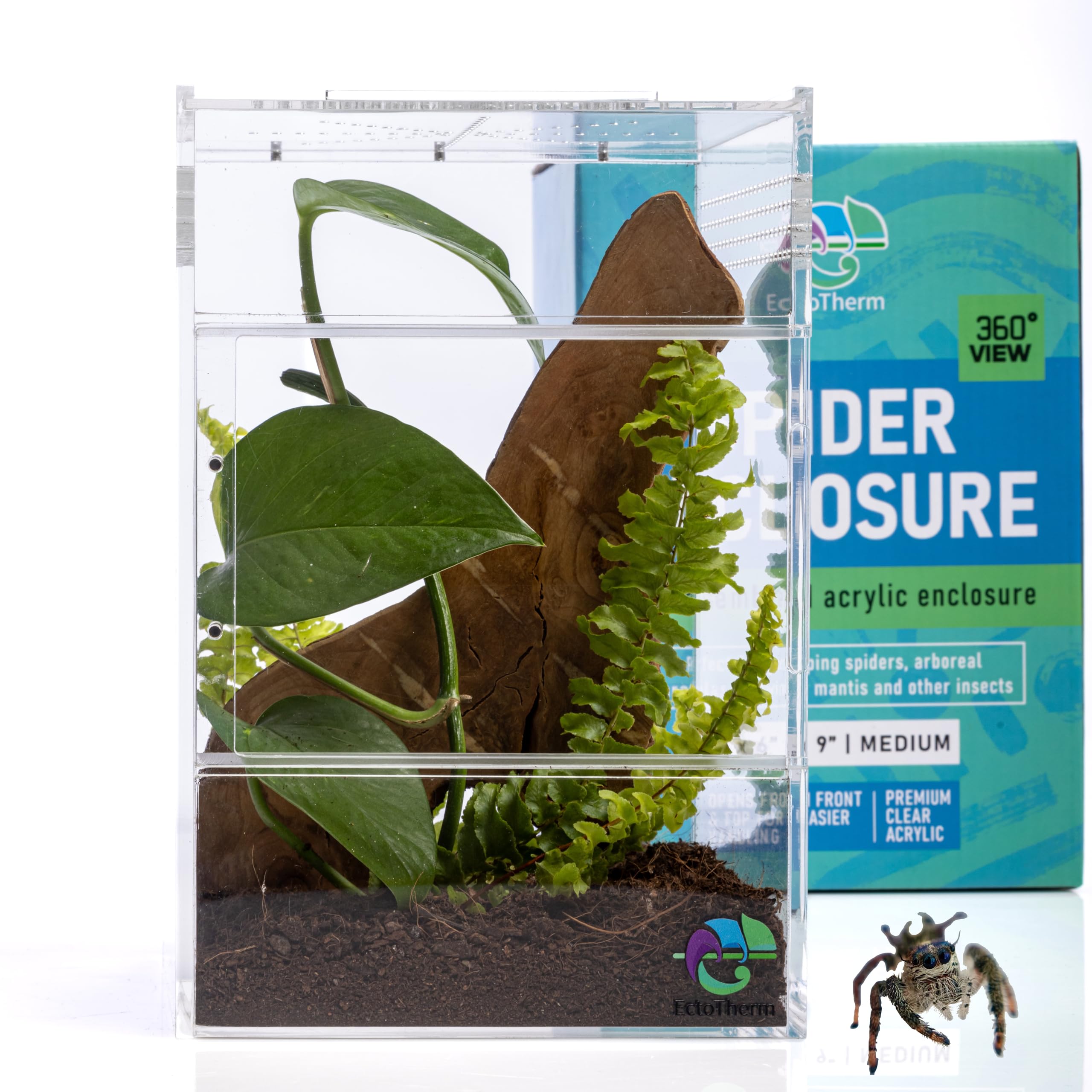 Premium Jumping Spider Enclosure Kit - Glass Spider Terrarium with Ventilation | Ideal Habitat for Pet Jumping Spiders, Tarantulas & Insects | Perfect for Home, Classroom or Office Display