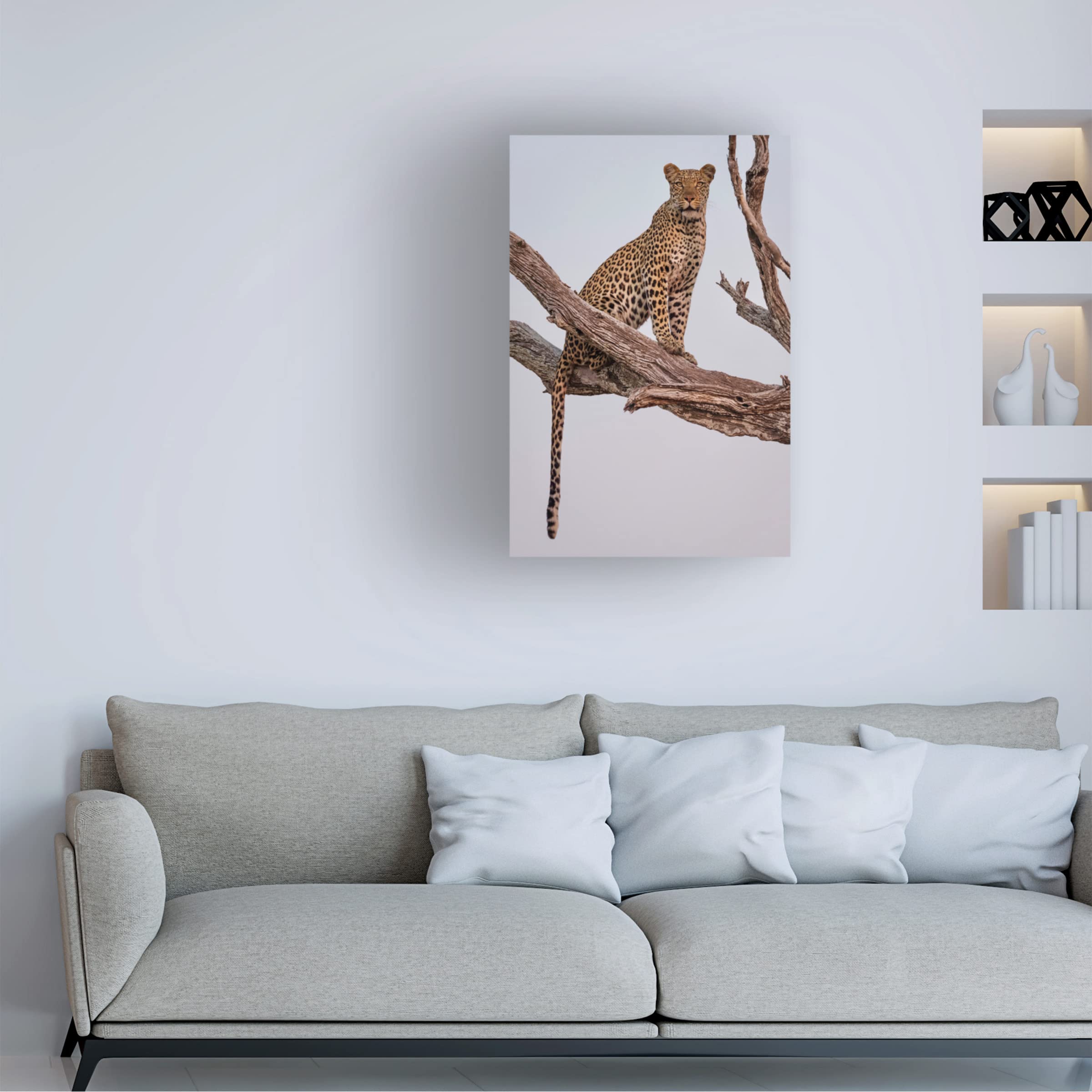 Rob Darby 'Leopard Portrait' Canvas Wall Art - Premium Wildlife Home Decor for Living Room, Bedroom & Office | Trademark Fine Art Collection
