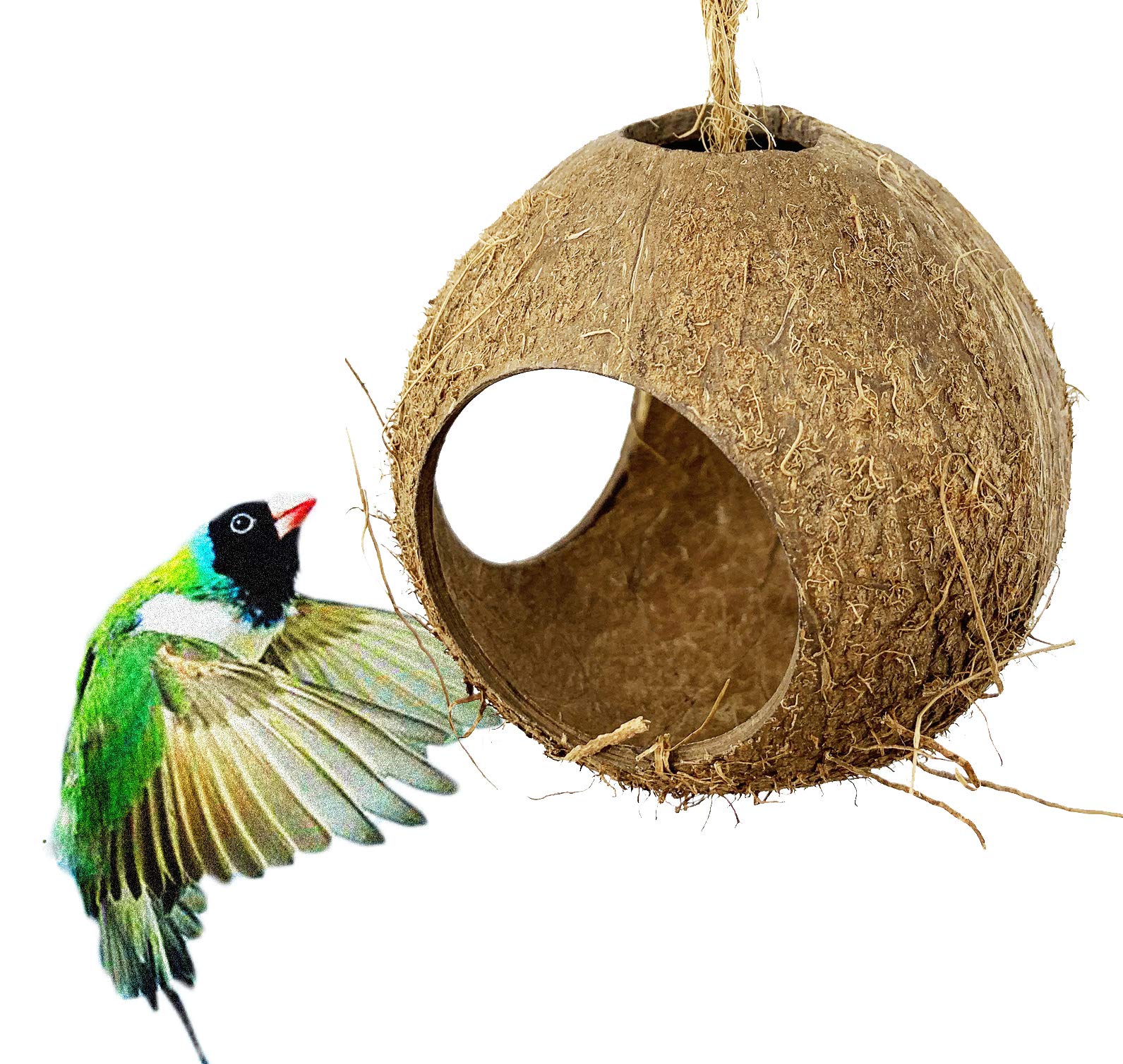 Bonka Bird Toys 2114 Three Hole Coconut Hut Nest for Parrots - Cozy Sleeping & Playing Hideout for Small Birds Like Cockatiels, Lovebirds, and Parakeets