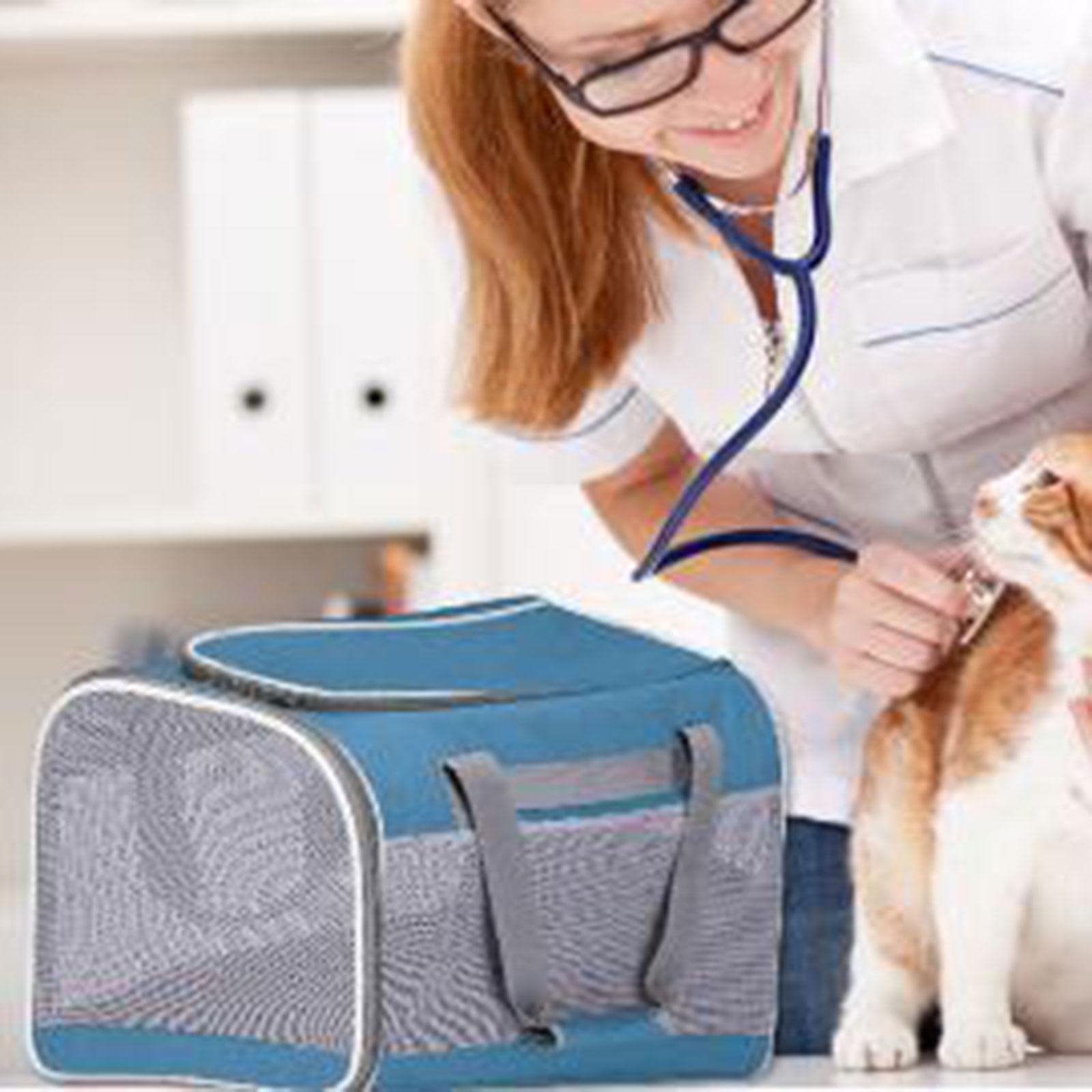 Enakshi Cat Carrier Bag with Shoulder Strap - Lightweight Kitten & Small Dog Carrier Purse in Gray | Pet Travel Carrier for Vet Visits, Airplane & Car Rides | Durable Pet Supplies for Cats & Small Dogs