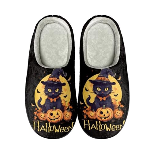 Halloween Cat