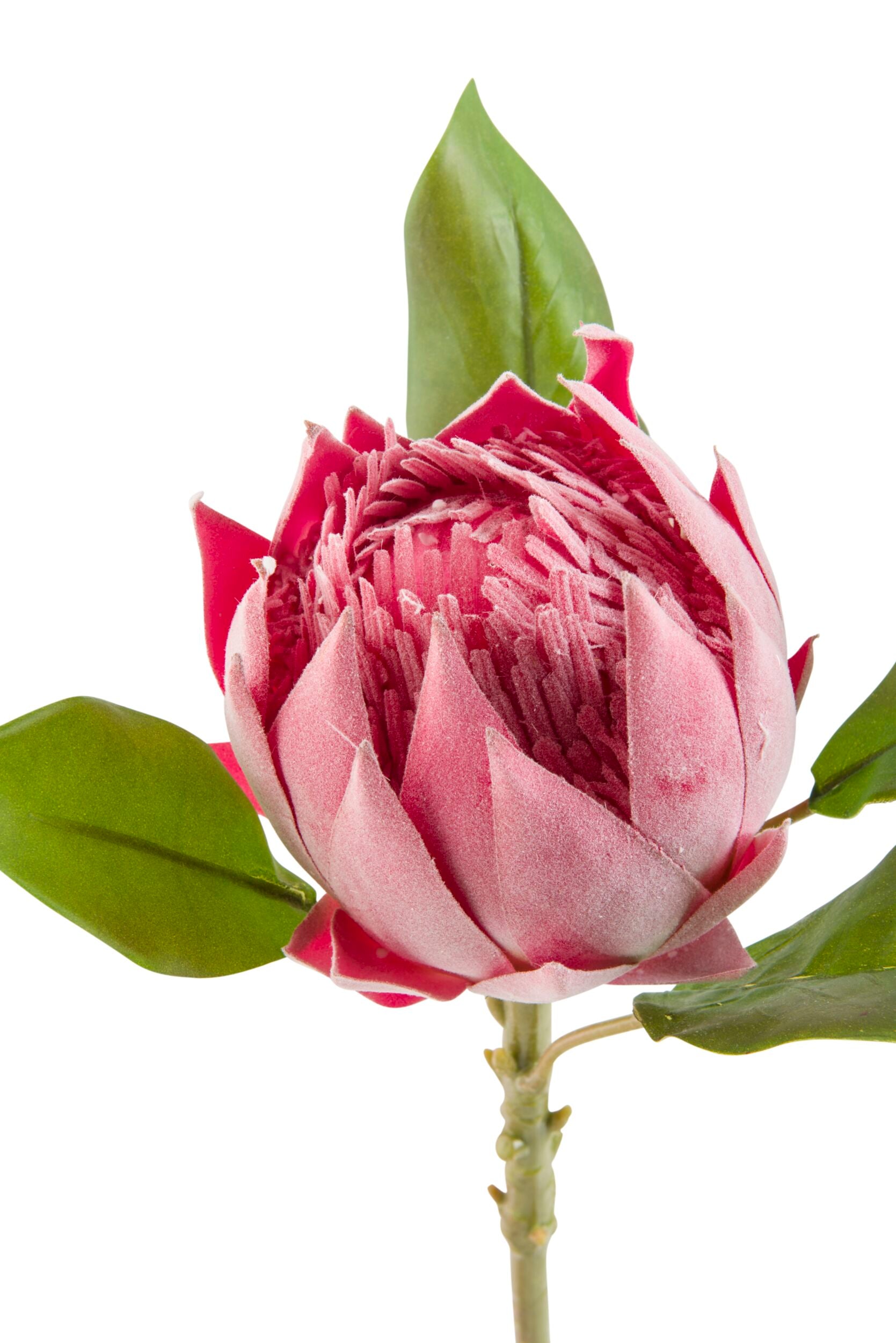 Premium 97cm Blume Protea Stem - Artificial Silk Flower for Home Decor, Wedding Bouquets & Floral Arrangements