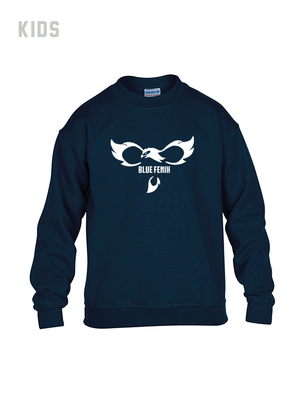 Blue Fenix Sweater for Kids | Soft & Comfortable Winter Pullover | Perfect for School, Playdates & Outdoor Activities