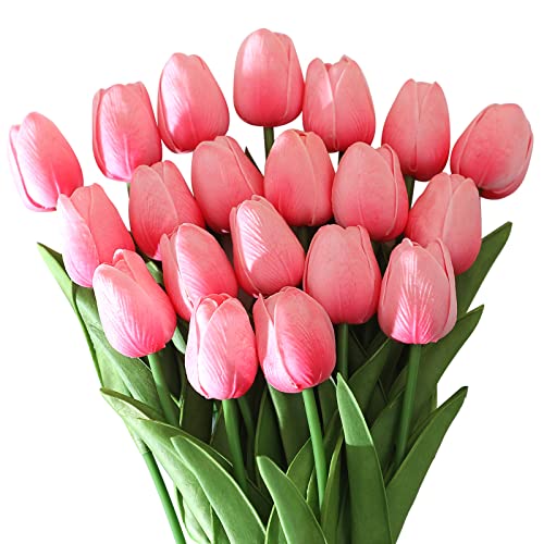 Dark Pink 20pcs