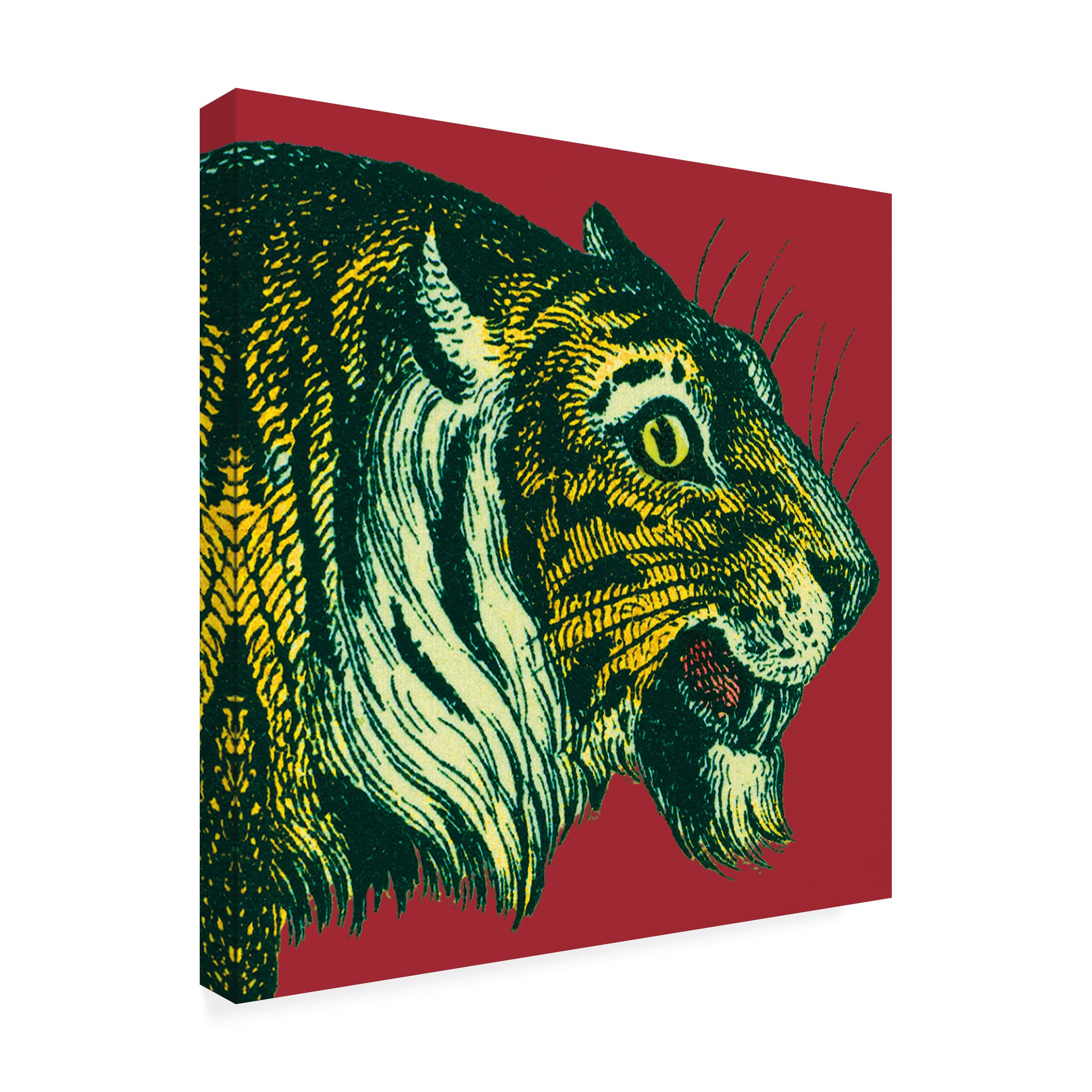 Trademark Fine Art 'Jungle Flair I' Canvas Wall Art Print by Wild Apple - Tropical Home Decor for Living Room, Bedroom & Office