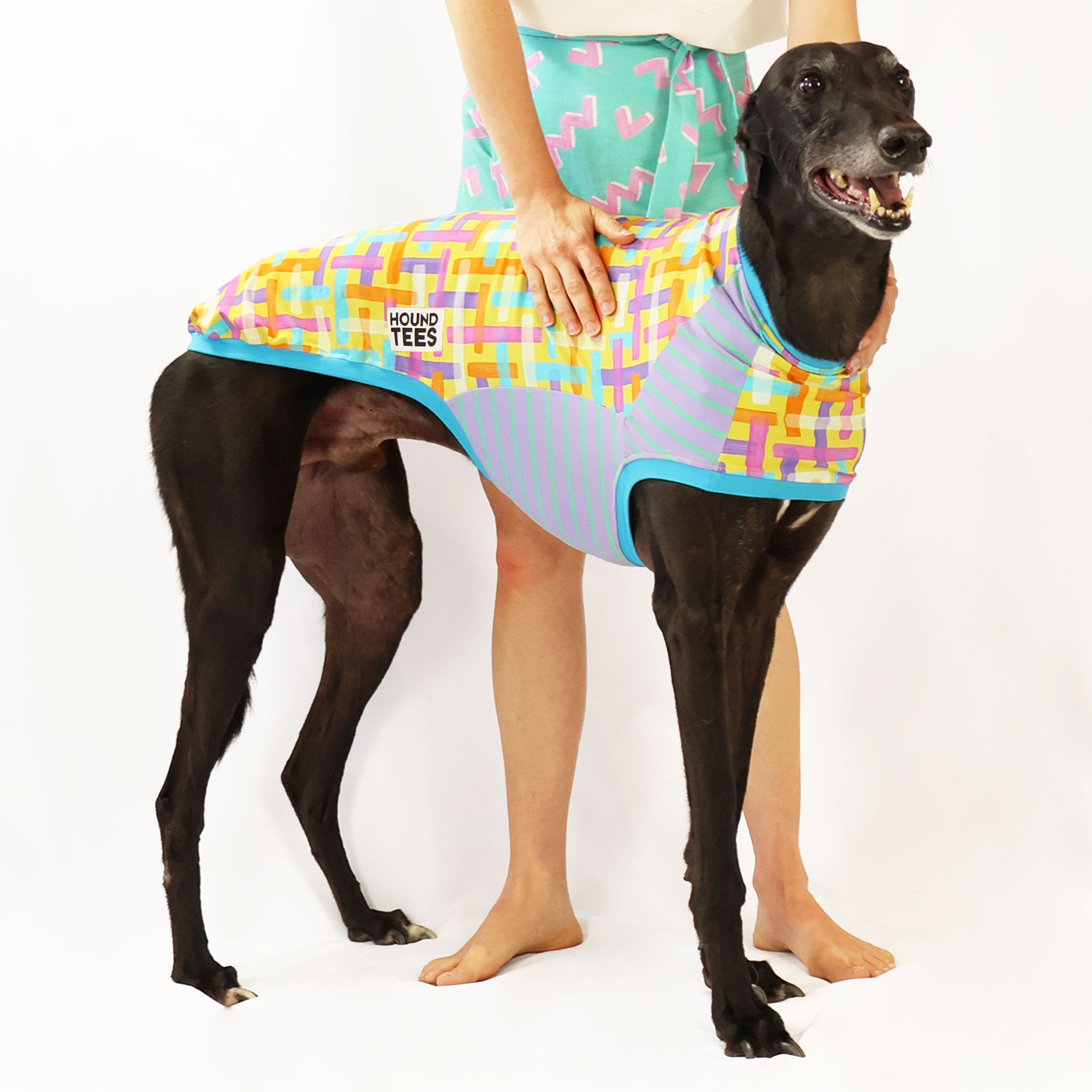 Broken Gingham Greyhound Sleeveless Hound Tee - Stylish Dog Lover T-Shirt for Casual Wear & Pet Events