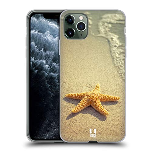 Starfish By The Shore